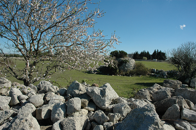 Museo Diffuso paesaggio